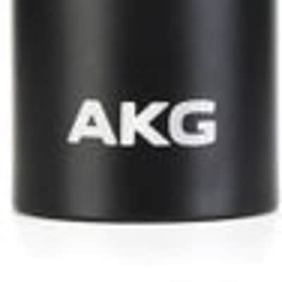 AKG C151 Small-diaphragm Condenser Microphone image 2