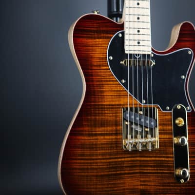 Suhr Andre Nieri Signature Classic T - Nieri Burst image 5