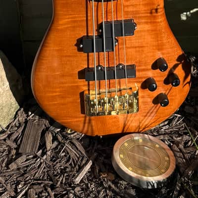 Spector Doug Wimbish Signature Euro 2026 -aged Amber Stain Gloss image 1