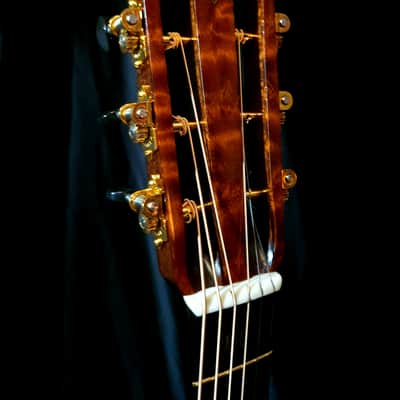 "THE TREE" Mahogany Dillard OM Acoustic Guitar 2023 image 16