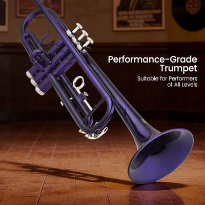 Bb Trumpet for Beginners, Brass Student Trumpet Kit with Case, 7C Mouthpiece, Cleaning Kit, Standard B Flat Instrument - Purple image 6