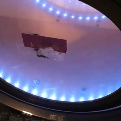 SJC Custom 3pc Drum Kit Set 22/16/12" LED Kick 2014 image 14