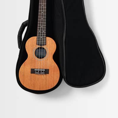 Kala James Hill Signature Solid Top Mahogany Concert Ukulele image 6