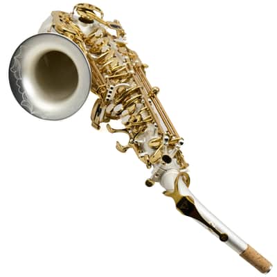 Antigua Winds Model AS4248SQ 'Powerbell' Alto Saxophone - Satin Silver/Gold Keys image 19