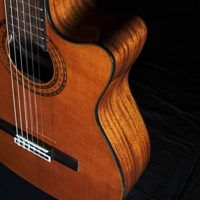 Used Alvarez Artist Series AC60S Nylon Acoustic Guitar image 5