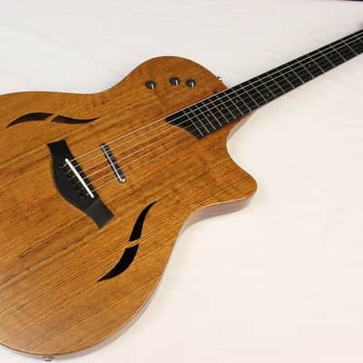 2009 Taylor T5-LTD Limited Edition T5 Acoustic-Electric Guitar w/ HSC #27243 image 2