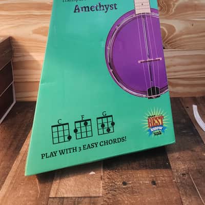 Gold Tone Little Gem Acrylic Concert Banjolele 2018 - Amethyst image 7