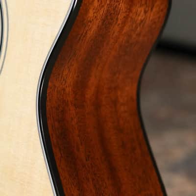 Taylor 312ce-N Nylon Grand Concert Acoustic/Electric Guitar - Natural with Hardshell Case image 14