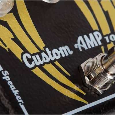 Baroni Lab Miniamp MA100 (100W RMS Stompbox sized Amp) image 2