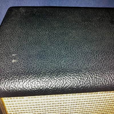 Bogner 20th Anniversary Ecstasy XTC  EL34 101B  British - No Footswitch - image 7