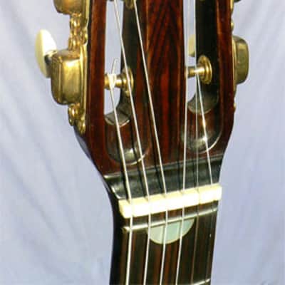 2011 Rodrigo Shopis D'Artagnan Model 'F': Solid Rosewood Favino Style Body,  Best Buy! image 8