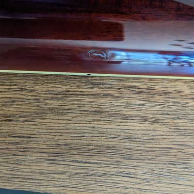 History ZMS-CFS - FGN Fujigen ES-339 style semi-hollow image 11