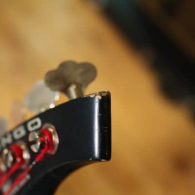 Music Man Bongo 5 H (2003) image 11