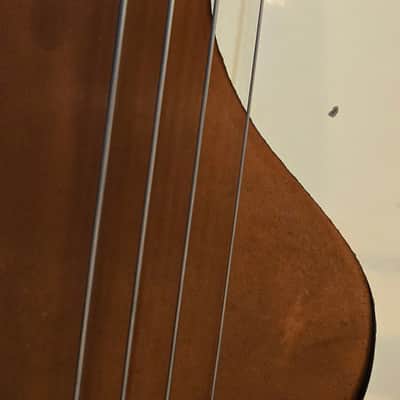 Naturally Relic'd 1959 Danelectro 3412 Short-horn Bass and Hardcase image 23
