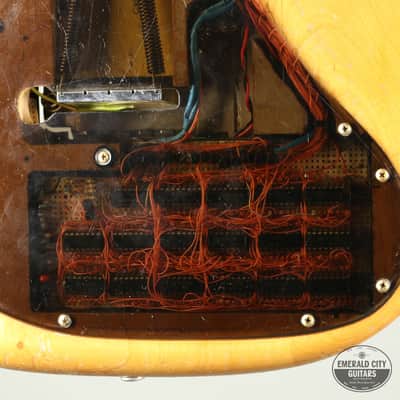 Roger Fisher's Custom "LED" Stratocaster image 7