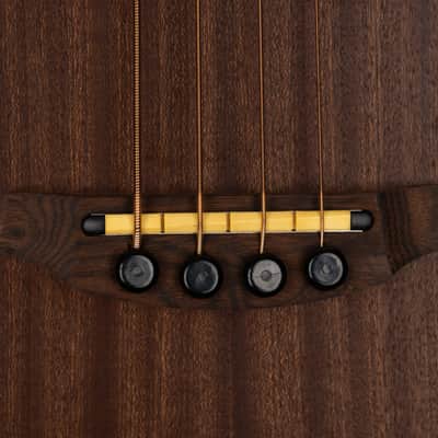 Cordoba Mini II Bass MH-E 2019 image 4