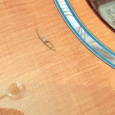 1995 Taylor GA-WS Limited Edition Acoustic Guitar w/OHSC image 7