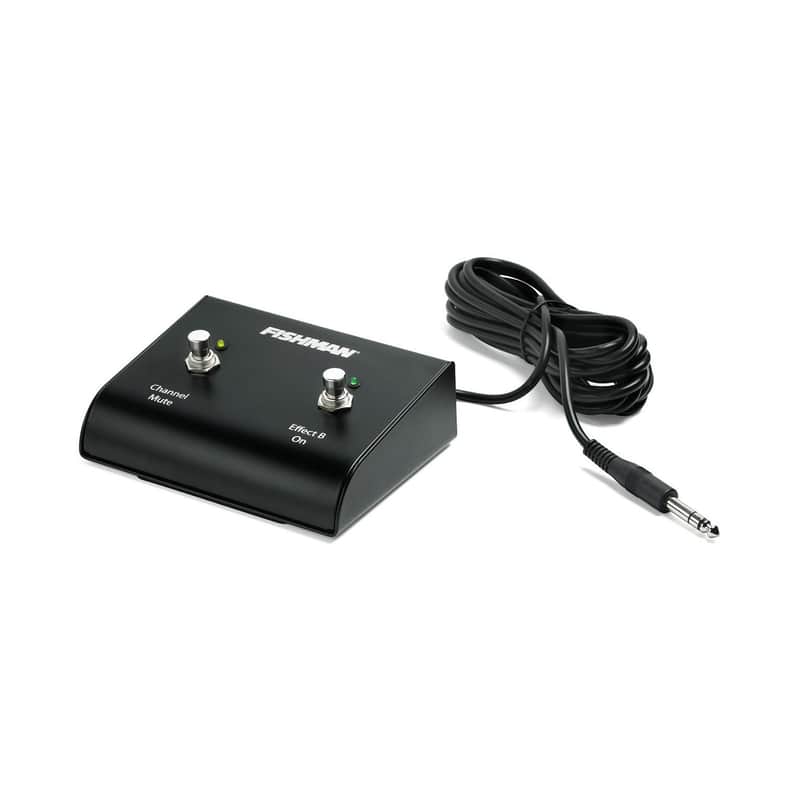 Fishman Loudbox 2-Button Footswitch for Artist and Performer image 1