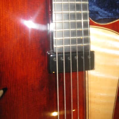 Eastman PG1 Pagelli Signature 17in Archtop Electric Guitar 2012 Sunburst image 5
