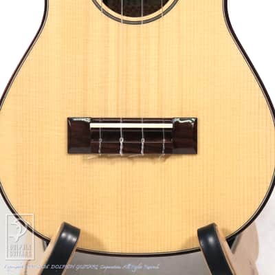 ASTURIAS <MIJ>Tiny Concert Spruce Rosewood  2020[Pre-Owned] image 8