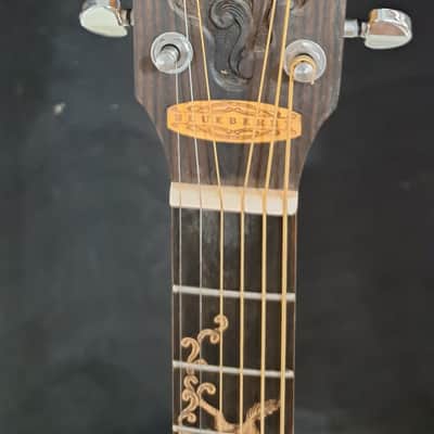 Blueberry NEW IN STOCK - Left Handed Acoustic Guitar Grand Concert Size Horses image 5