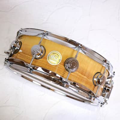 DW DW-MAP SNARE/OA 14x5 Maple Snare Drum (07/20) image 5