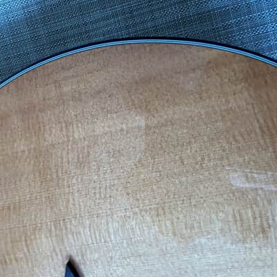 Breedlove Performance Focus D 2004 - new frets, Natural image 18