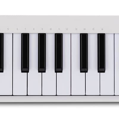 Arturia MICROLAB MK3 White 25-Key MIDI USB Keyboard Controller+Pro Software