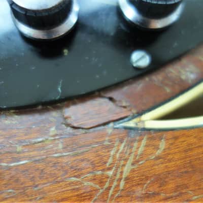 MIGMA Thinline guitar East Germany super rare ~1965 image 5