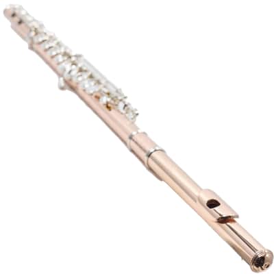 William S. Haynes Custom 14K Gold Flute with Gold Toneholes, Offset G, C# Trill image 17