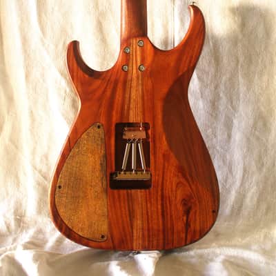 Bhakatt Guitar Double Cut 2026 - Body Polyurethanes neck oil finish image 9