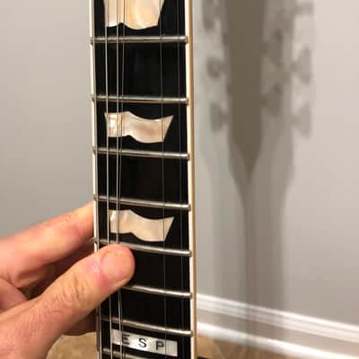 ESP Eclipse I ("lawsuit") image 21