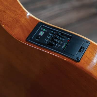 Washburn EACT42S | Festival Series Acoustic-Electric Classical Guitar. New with Full Warranty! image 9