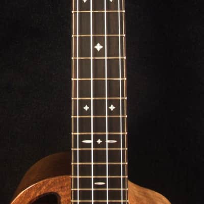 Handmade Tenor Ukulele, Solid Macassar Ebony, Abalone & MOP Inlay, Soft-bag, Bruce Wei UKB17-2027 image 3