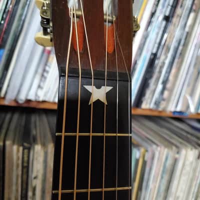 N B Curtiss (Lyon and Healy) Parlor Guitar 1905 - Natural image 5