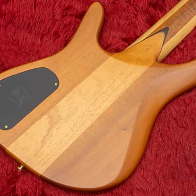 【new】D'Mark Guitars / Alpha 5 Buckeye MASTER SERIES #23A0010 4.040kg【GIB Hyogo】【price included SHIPPING & IMPORT TAX & VAT】 image 3