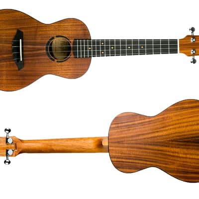 Flight Juliana Acacia Concert Ukulele image 6