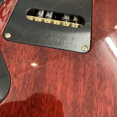 PRS 20th Anniversary Custom 22 Tremolo Artist Package image 13