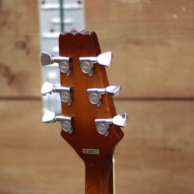 Aria Elecord FE-T65 image 13