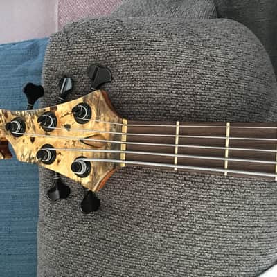 Prana custom bass PC-Buckeye burl 5str.  2014 Clear image 9