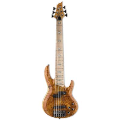 ESP LTD B-1006