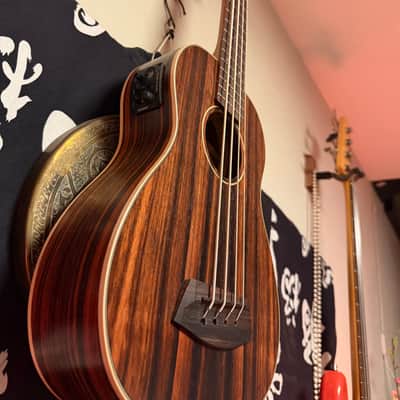 Kala UBASS with Round Wound strings image 1
