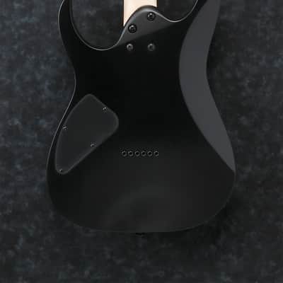 IBANEZ RG421EX-BKF E-Gitarre black flat image 2