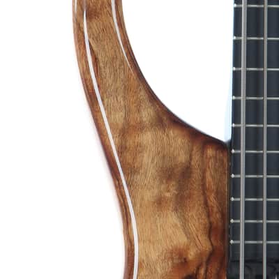 2004 Modulus Quantum Q 5 String Bass Chechen Top image 5