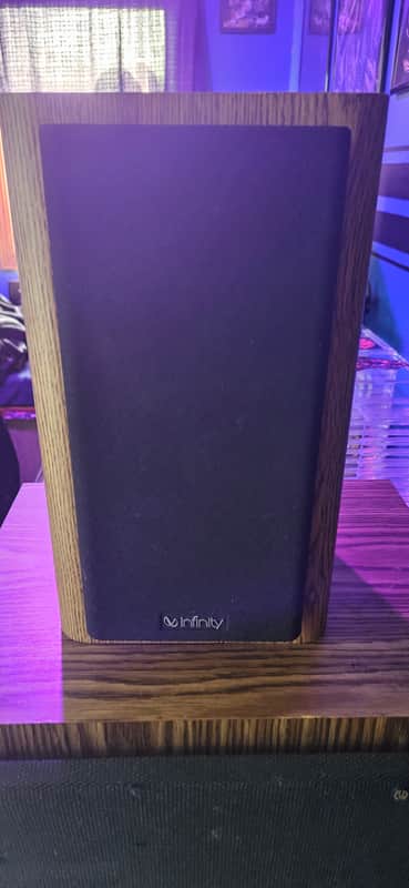 Infinity RS1000 Bookshelf Speakers image 1