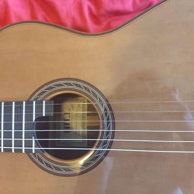 Kenneth Hill Performance Model 2015 Schellack, cedar, Indian rosewood, image 12