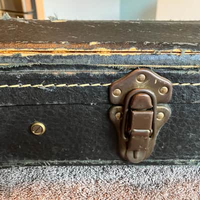 Ess & Ess guitar case image 14