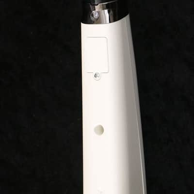 ROLAND Aerophone AE-10 (04/28) image 7