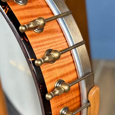Ode Magician 5-String Openback Banjo 12 inch Cherry image 12