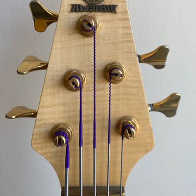 Alembic Essence 5 image 4